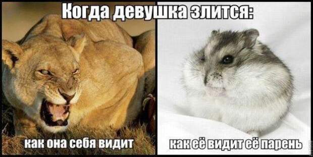Картинки по запросу фото приколы девушка