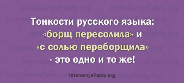 Особенности русского языка - INFOnotes