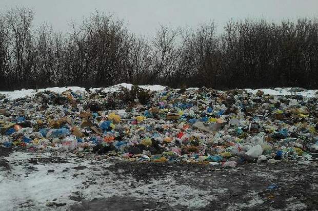 На начало 2026 года Росприроднадзор зафиксировал в Тамбовской области 10 несанкционированных свалок