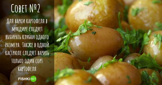 Как правильно варить картофель в мундире? еда, жареная картошка, картофель в мундире, кулинарные секреты, пюре, рецепты, хранение картофеля