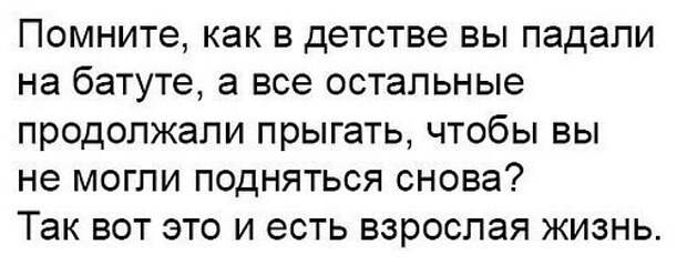 Разносортица