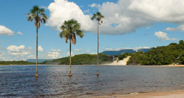 Клуб путешествий Павла Аксенова. Canaima lagoon, Venezuela. Фото javarman - Depositphotos