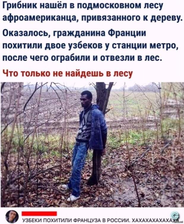 Солянка
