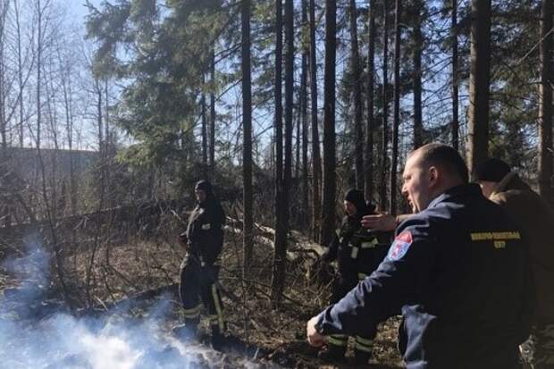 Жечь траву весной ОПАСНО Жечь траву весной ОПАСНО