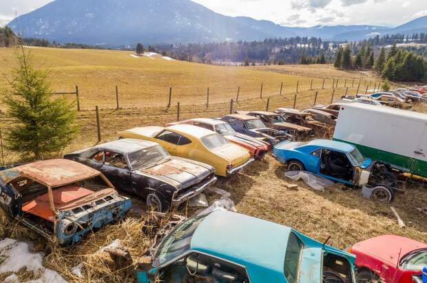 Канадец продает ферму с коллекцией из 340 раритетных автомобилей