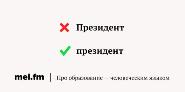 https://image.mel.fm/i/4/4JMKBo39Rx/590.png