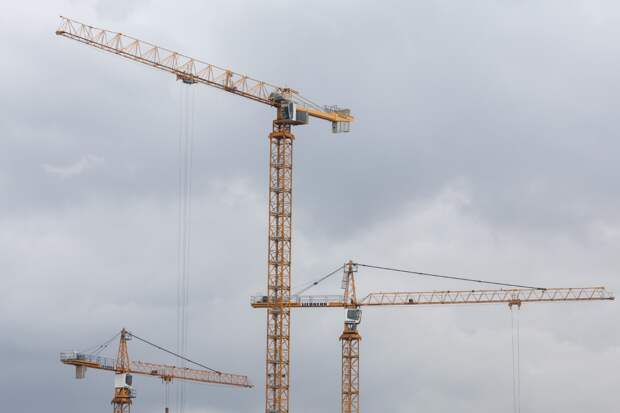 В нехватке рабочих рук в России обвинили зумеров