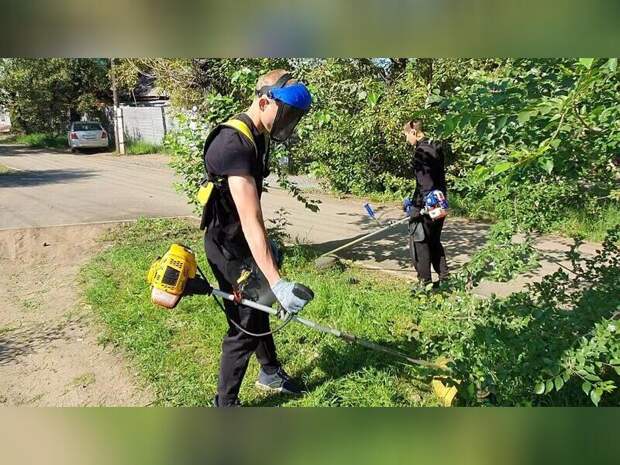 Попова осталась недовольна темпами скоса травы в городе