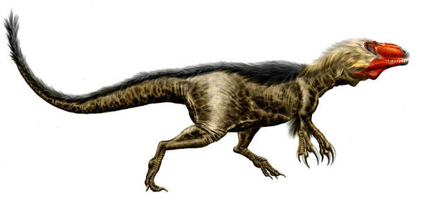 800px-Dryptosaurus_by_Durbed