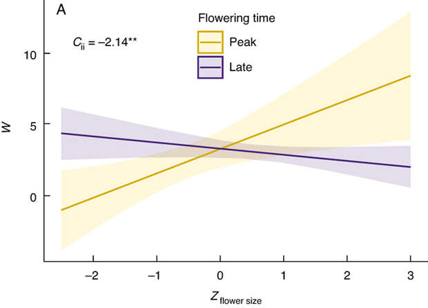 Рис. 2. Влияние стандартизированного размера цветка на относительную приспособленность