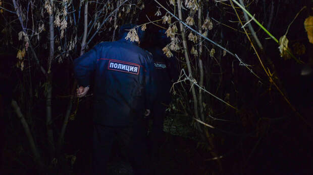 Поиски девочки, пропавшей во время выгула собаки в Смоленске, ничего не дали