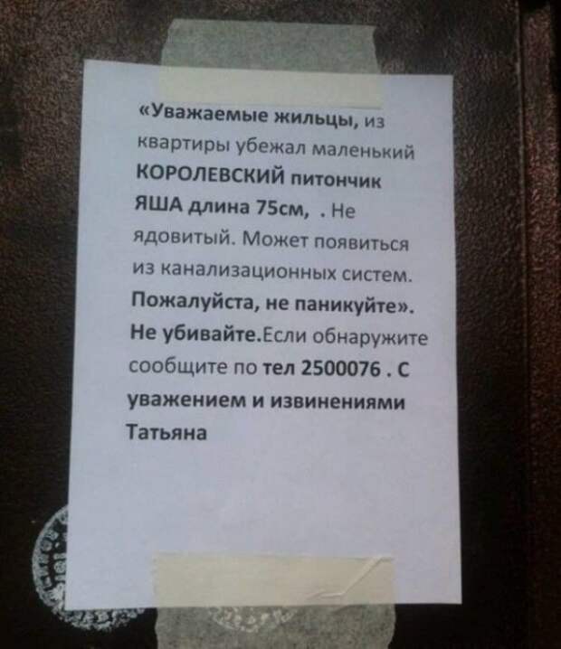 Объявления на улицах города