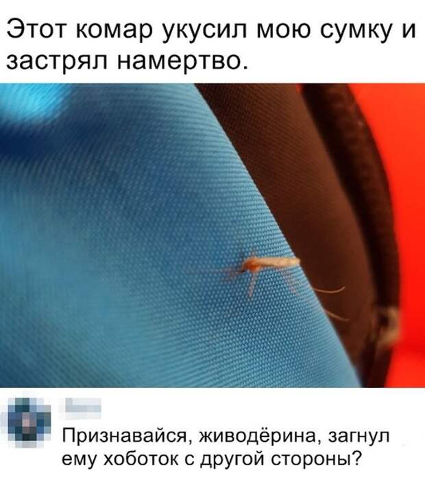накопилось тут...