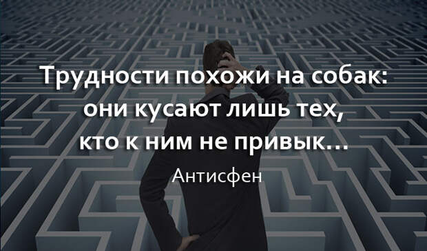 Несколько хороших фраз о правде жизни
