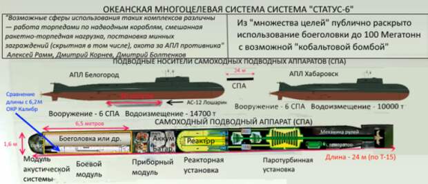 Пентагон признал существование российского оружия "Статус-6"