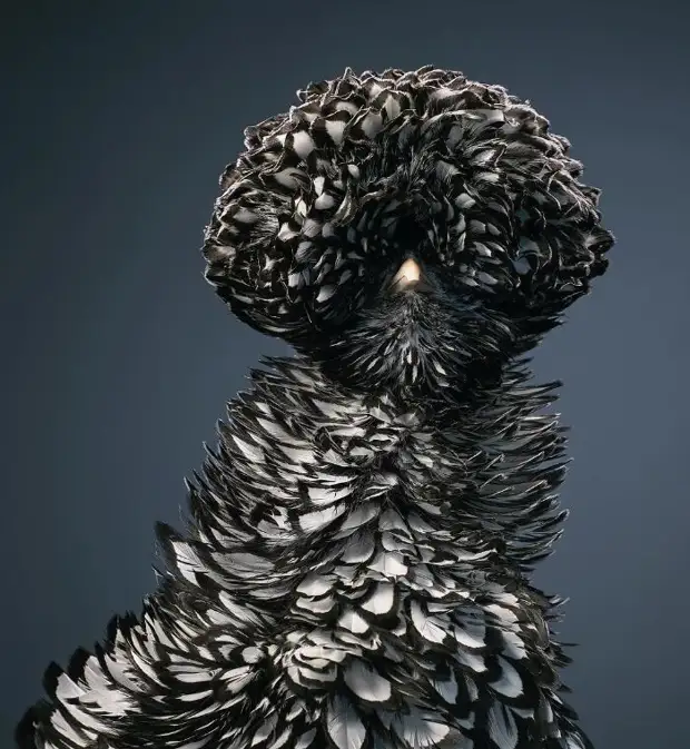 : 25     6 - BigPicture.ru