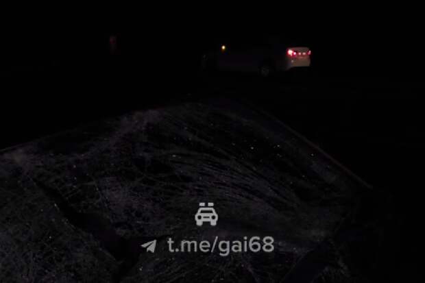 В Тамбовской области в ДТП погиб 25-летний пешеход