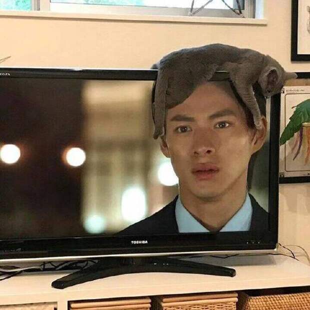 Головной убор Головной убор