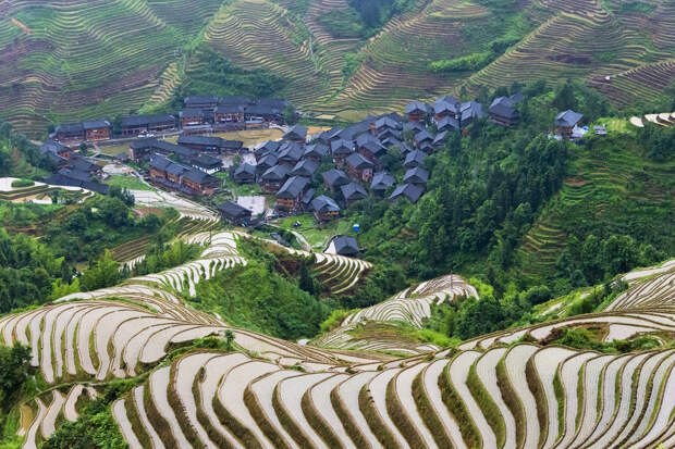 Рисовые террасы, расположенные в округе Юаньян в провинции Юньнань
