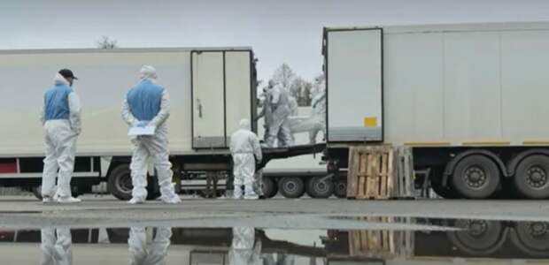 Мединский обратил внимание на соотношение потерь России и Украины