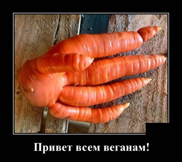 Демотиваторы (30 фото)