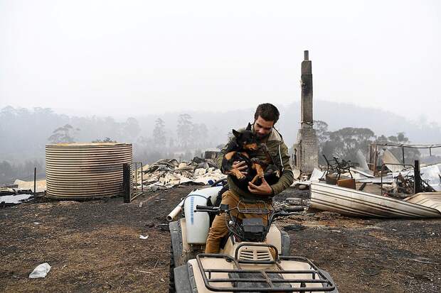 Многие австралийцы лишились из-за пожаров всего - защитить жилые регионы от стихии не удалось Фото: REUTERS