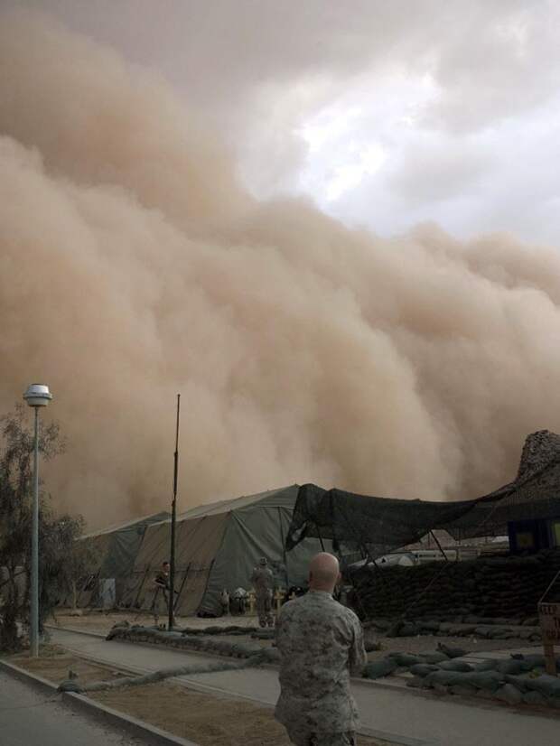 15. По свидетельству экологов, в последние годы песчаные бури случаются в десять раз чаще, чем это б