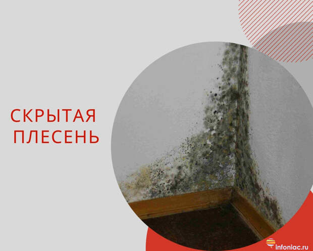 http://www.infoniac.ru/upload/medialibrary/385/3857972e5a9f245c70bafca750ae5edc.jpg