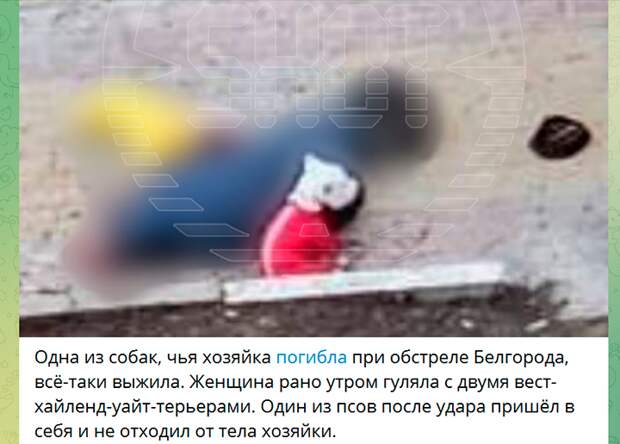 ЭТО БОЛЬНО ЧИТАТЬ. СКРИН С ТГ-КАНАЛА SНOT