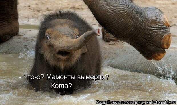 Мысли вслух :)