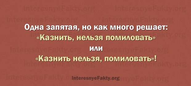 Особенности русского языка - INFOnotes