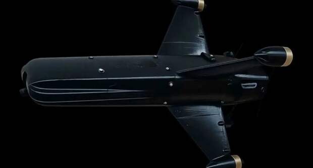 Ветераны в США хотят от Пентагона денег на производство перехватчика «Шахедов