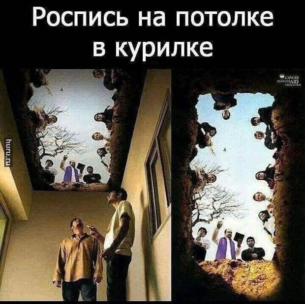 079642f2d8b900a6249e3bb75586d7298e9cae8743ed8c2bd0bee00fb950e4ba-1.jpg