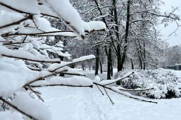 Желтый уровень погодной опасности объявлен в Москве