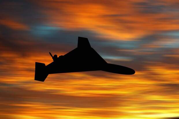 Украина направила «Писюны» против российских «Гераней»