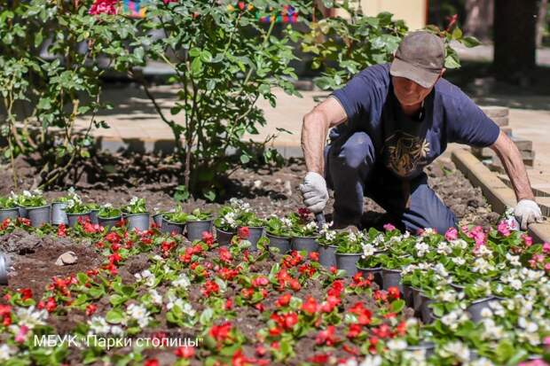 В парке им. Гагарина в Симферополе высадят две тысячи цветов