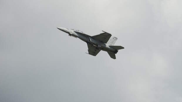 Истребитель F-18 ВВС США сбили иранские ополченцы, утверждают в КСИР