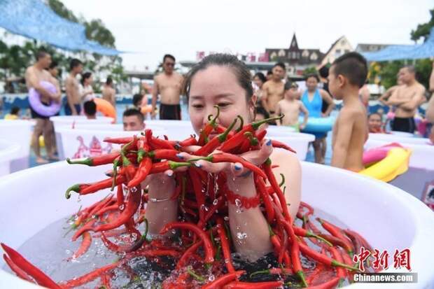 Во время соревнований в регионе стояла невероятная 40-градусная жара, с которой участники боролись, погрузив своё тело в ёмкости, наполненные водой и перчиками интересное, китай, острота, перец, прикол, соревнования, туризм
