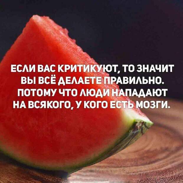 Несколько хороших фраз о правде жизни