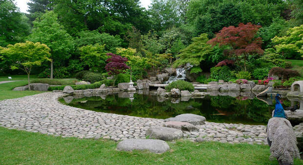 Kyoto garden (Лондон, Великобритания Kyoto garden (Лондон, Великобритания