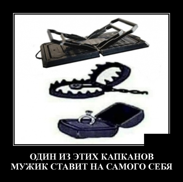 Демотиваторы (30 фото)
