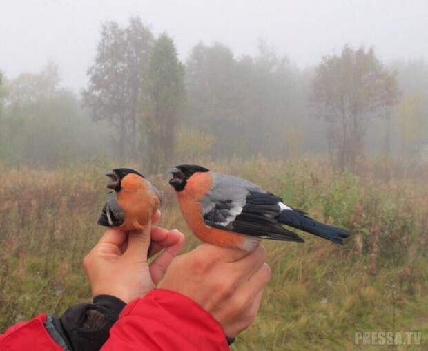 Прикольные фотографии - утренний выпуск