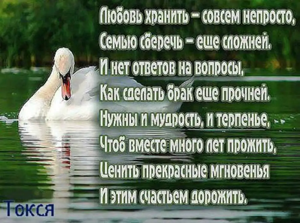 Мудрая проза на свадьбу. Стихи о семейной жизни и любви. Стихи о жизни и любви. Пожелание семейного счастья. Стихи о счастливой семейной жизни.