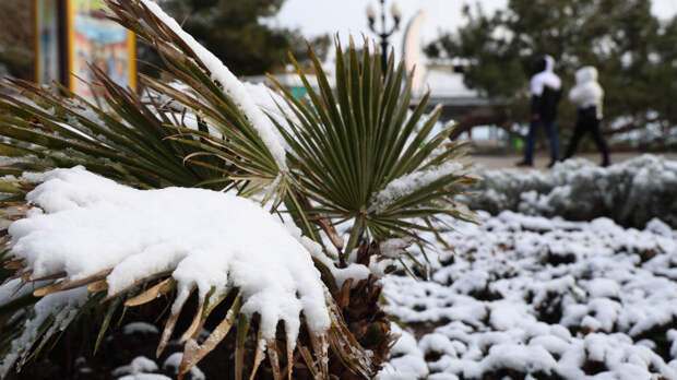 Не прекратится до Нового года: рекордный снегопад обрушился на Крым