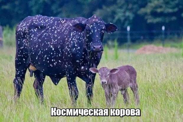 Подборка картинок. Дневной выпуск (24 фото)
