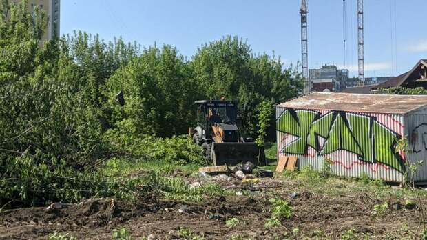 Работы в парке 300-летия Барнаула / Фото: amic.ru / Екатерина Смолихина