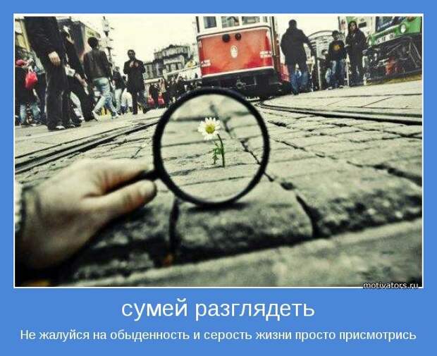 Сумей разглядеть. Не жалуйся на обыденность и серость жизни просто присмотрись