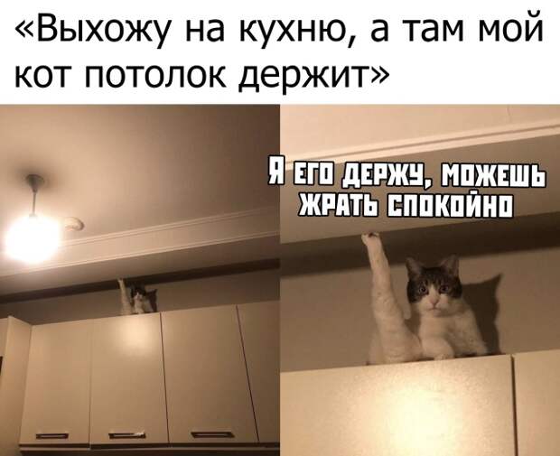 www.vsyako.net
