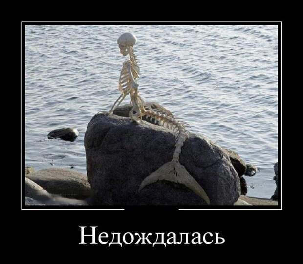 Демотиваторы (30 фото)