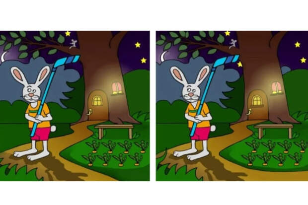 27 секунд на отличия: проверка внимательности с зайцем